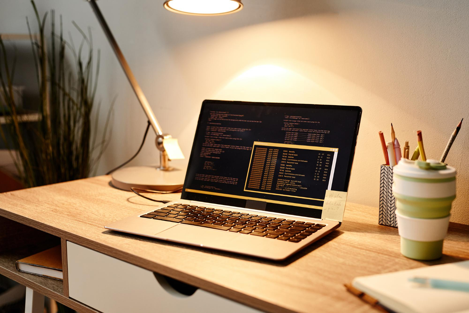 Custom Software Development